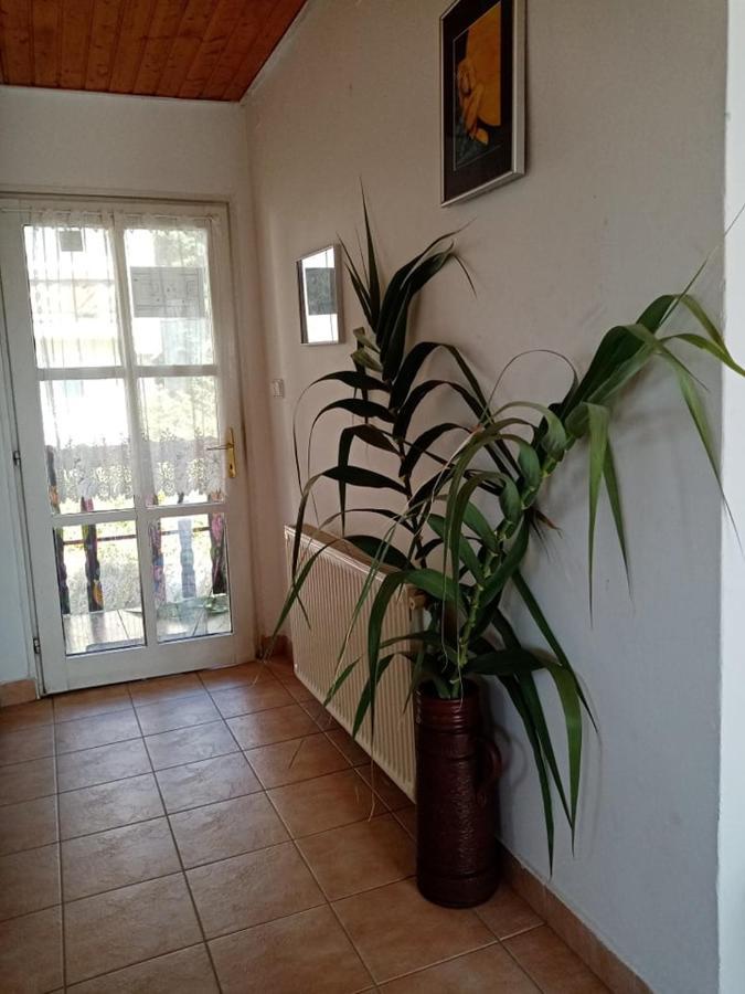 Kekturas-Tora Nyilo Badacsonyi Privat Berlemeny Hotel Бадачонтомай Екстериор снимка